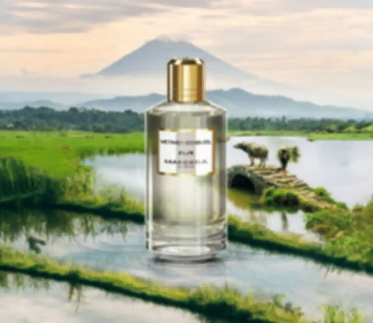 Mancera Vetiver Sensuel парфюмерная вода