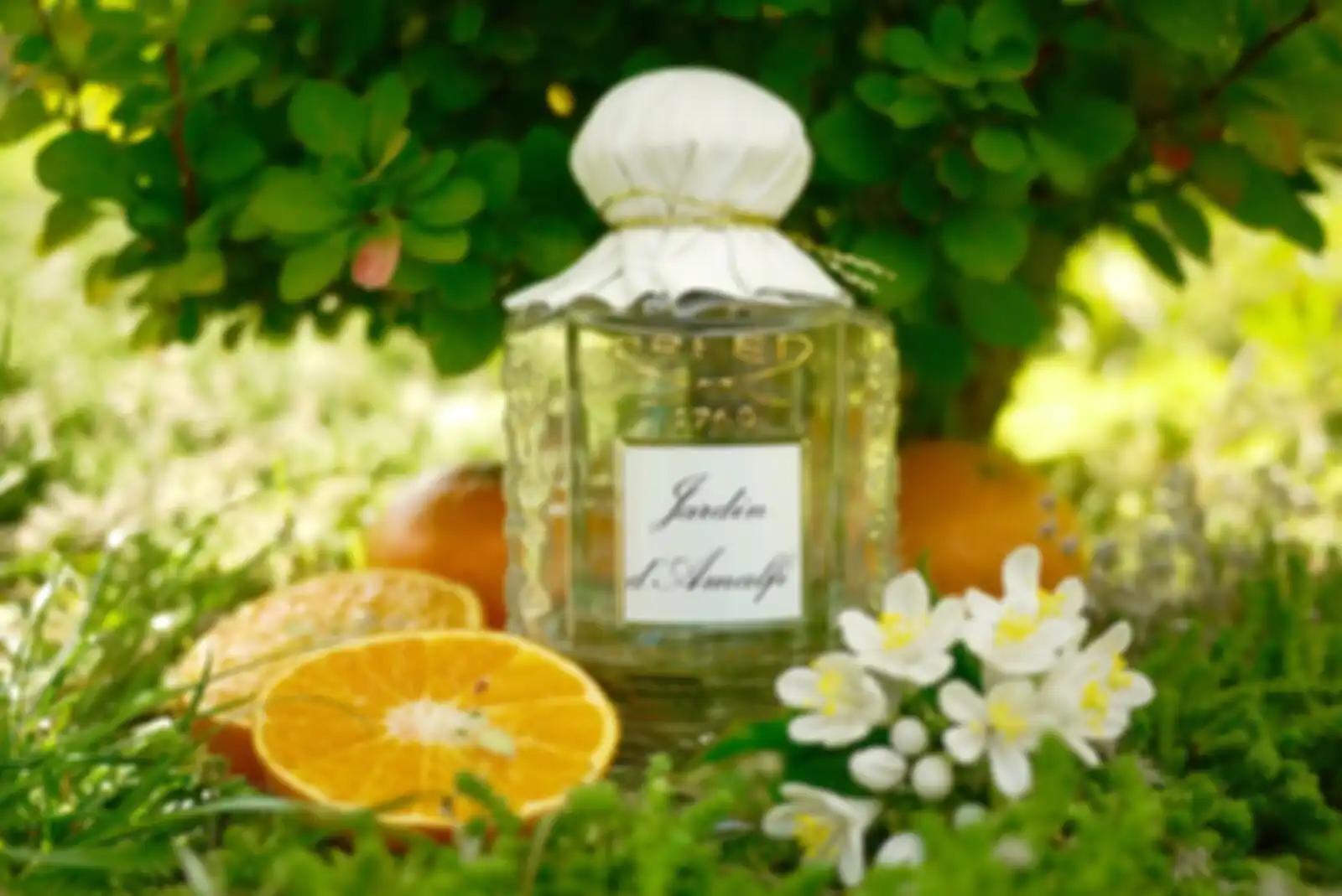 Creed Jardin d’Amalfi парфюмерная вода