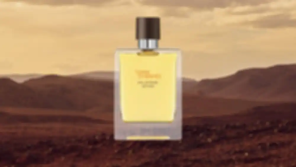 Hermes Terre d`Hermes Eau Intense Vetiver парфюмерная вода