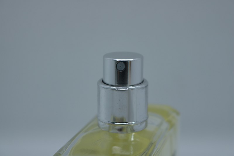 Chanel Egoiste Platinum