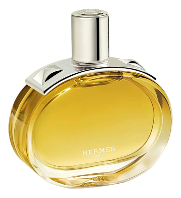 Hermes Barenia Intense