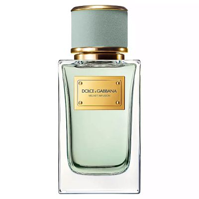 Dolce&Gabbana Velvet Infusion