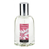 Fragonard Santal