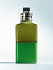 Dries Van Noten Crazy Basil