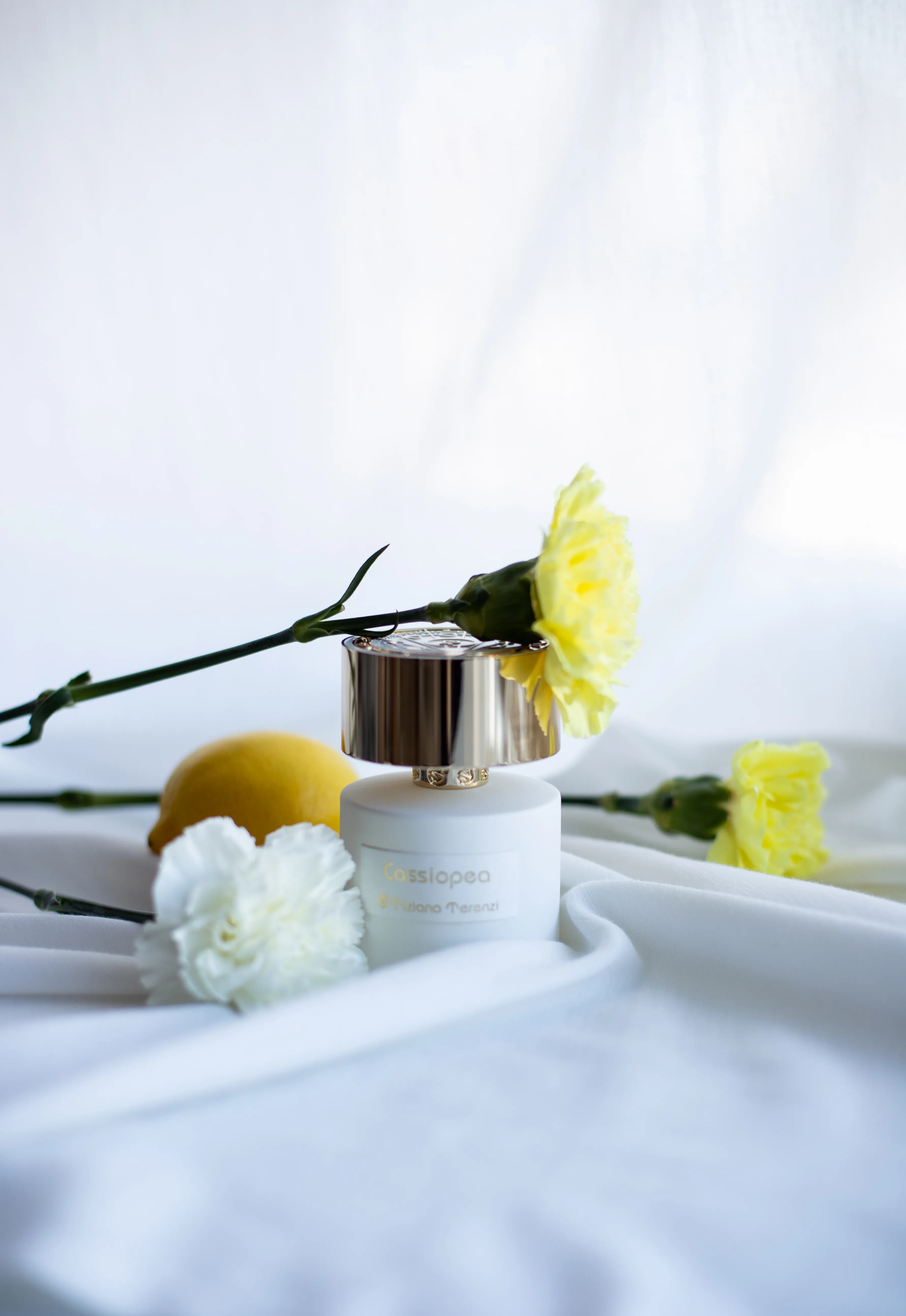 Tiziana Terenzi Cassiopea